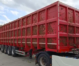 Полуприцеп-контейнеровоз Тонар 9989 2023 года б/у фото 2