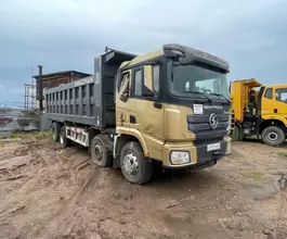 Самосвал Самосвал  Shacman SX331863366 2022 года б/у