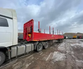 Полуприцеп-сортиментовоз НовосибАРЗ 98131D 2024 года б/у фото 3