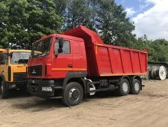 Самосвал Самосвал  МАЗ 6501 2020 года новый фото 2
