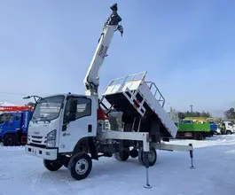 Бортовой грузовик ISUZU Elf 2026 года новый фото 2