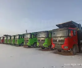 Самосвал Самосвал  Shacman (Shaanxi) SX331863366 2024 года новый фото 2