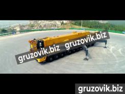 Объявление №249048 изображение 1