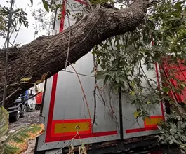 ТОНАР 9888 2019 года б/у фото 4
