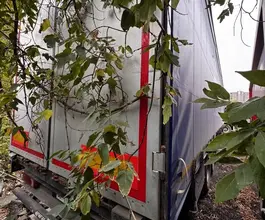 ТОНАР 9888 2019 года б/у фото 5