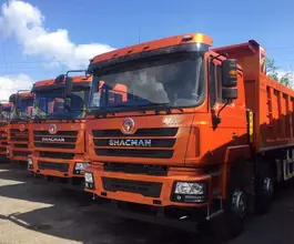 Самосвал Самосвал  Shacman SX3318DT366 2019 года новый