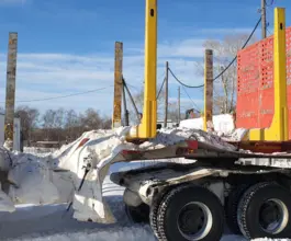 Полуприцеп-сортиментовоз САВ 93182 2018 года б/у фото 2