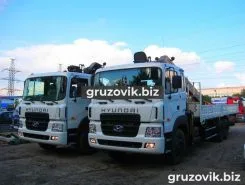 Самопогрузчик Hyundai HD250 с КМУ Palfinger IT150 2018 года новый фото 2