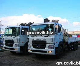 Самопогрузчик Hyundai HD250 с КМУ Palfinger IT150 2018 года новый фото 2