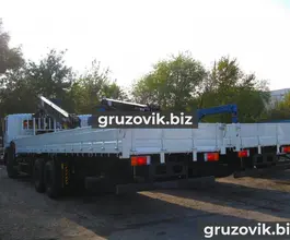 Самопогрузчик Hyundai HD250 с КМУ Palfinger IT150 2018 года новый фото 4