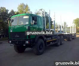 Сортиментовоз МАЗ 6317F9-565-000 2018 года новый фото 2