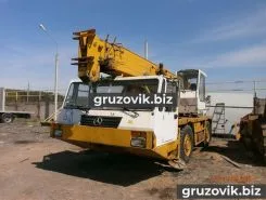 Автокран Pinguely TTR 180   1996 года б/у
