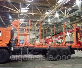 Сортиментовоз с КМУ Камаз 43118-46 2018 года новый фото 3