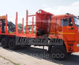 Сортиментовоз с КМУ Камаз 65225-3971-43 (Евро-4) 2018 года новый фото 3