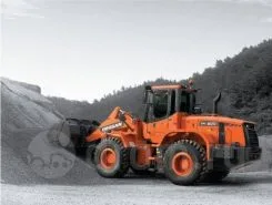 Фронтальный погрузчик Doosan DL200A 2019 года б/у фото 5