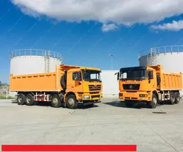 Самосвал Самосвал  Shacman SX3316DR366 2018 года новый фото 4