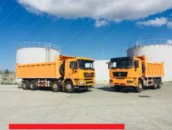 Самосвал Самосвал  Shacman SX3316DR366 2018 года новый фото 4