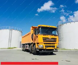 Самосвал Самосвал  Shacman SX3316DR366 2018 года новый фото 5