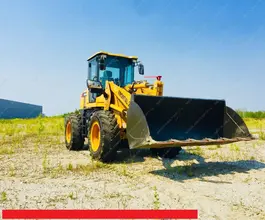 Фронтальный погрузчик Frontal 225 2018 года новый фото 2