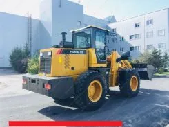 Фронтальный погрузчик Frontal 250 2018 года новый фото 5