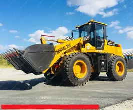 Фронтальный погрузчик Frontal 250 2018 года новый фото 2