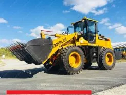 Фронтальный погрузчик Frontal 250 2018 года новый фото 2
