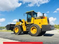 Фронтальный погрузчик Frontal 250 2018 года новый фото 4