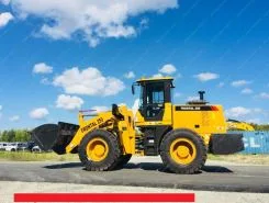 Фронтальный погрузчик Frontal 250 2018 года новый фото 3