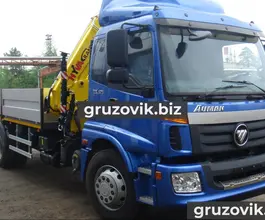 Самопогрузчик Hyundai HD 170 с КМУ Foton 1113 2018 года новый фото 3