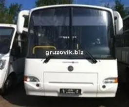 Междугородний автобус КАвЗ 4238 2018 года новый фото 3