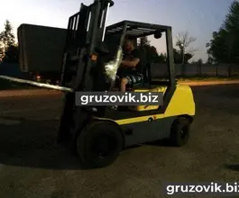 Вилочный погрузчик Balkancar ДВ1792 2018 года новый фото 2