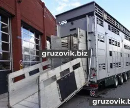 Скотовоз Pezzaioli SBA31 2018 года б/у