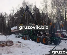 Форвардер Амкодор 2682-01 2019 года новый фото 2