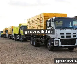 Самосвал Самосвал  ISUZU Giga 2018 года новый фото 3