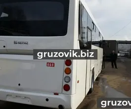 Междугородний автобус НЕФАЗ 5299-17-42 2018 года новый фото 3