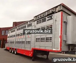 Скотовоз Pezzaioli SBA32 2007 года б/у