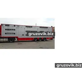 Скотовоз Pezzaioli SBA 2004 года б/у