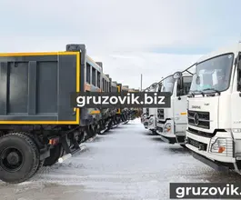 Самосвал Самосвал  Dongfeng DFH 3330A80 2018 года новый фото 3