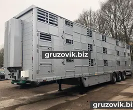 Скотовоз Pezzaioli SBA 62U 2010 года б/у