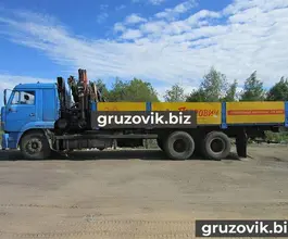 Самопогрузчик Камаз 65117 с КМУ Palfinger PK 12000 2008 года б/у фото 3