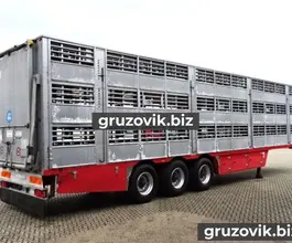 Скотовоз Pezzaioli SBA63 U 2004 года б/у