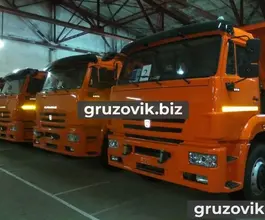 Самосвал Самосвал  Камаз 65207 2016 года новый фото 2
