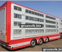 Скотовоз Pezzaioli PLAVAC 2009 года б/у