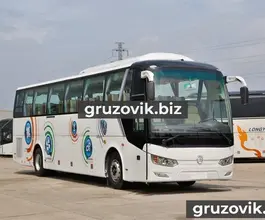 Междугородний автобус Golden Dragon XML6126JR 2018 года новый фото 2