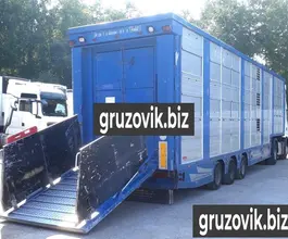 Скотовоз Finkl SAV 2007 года новый фото 3