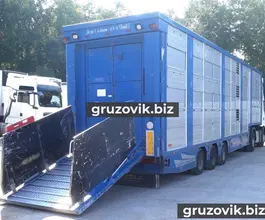 Скотовоз Finkl SAV 2007 года б/у фото 3