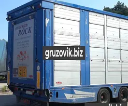 Скотовоз Finkl SAV 2007 года новый фото 2