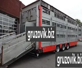 Бортовой Pezzaioli SBA32 2007 года б/у фото 3