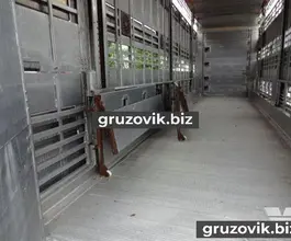 Скотовоз Pezzaioli SBA32 2007 года б/у