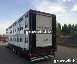 Скотовоз Michieletto AM19 2006 года б/у